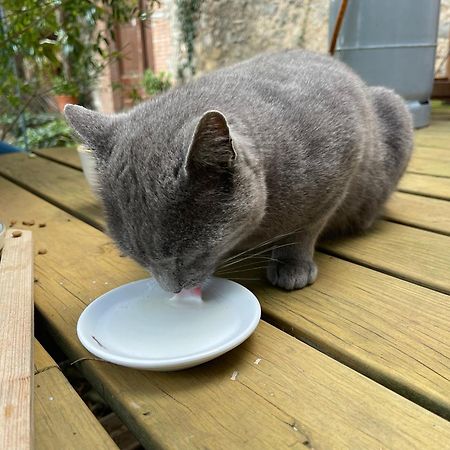 SobrestanySanta Caterina - Dog Friendly With Garden别墅 外观 照片