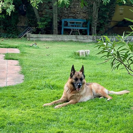 SobrestanySanta Caterina - Dog Friendly With Garden别墅 外观 照片
