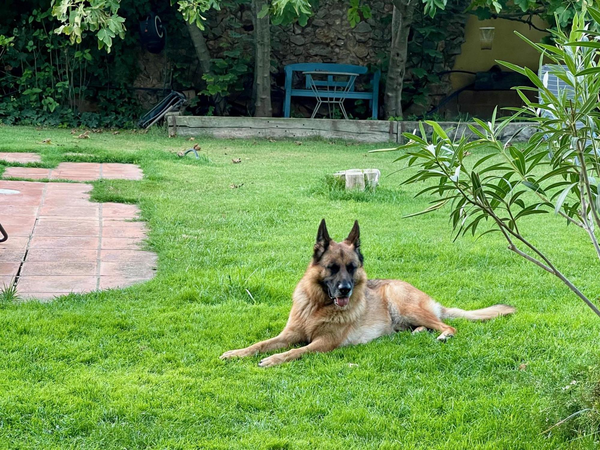 SobrestanySanta Caterina - Dog Friendly With Garden别墅 外观 照片